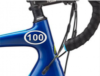 CENTURY 100 OVAL Cycling Stem Tube Seat Fork Frame Decal Cycling Bicycle Cyclist Bike